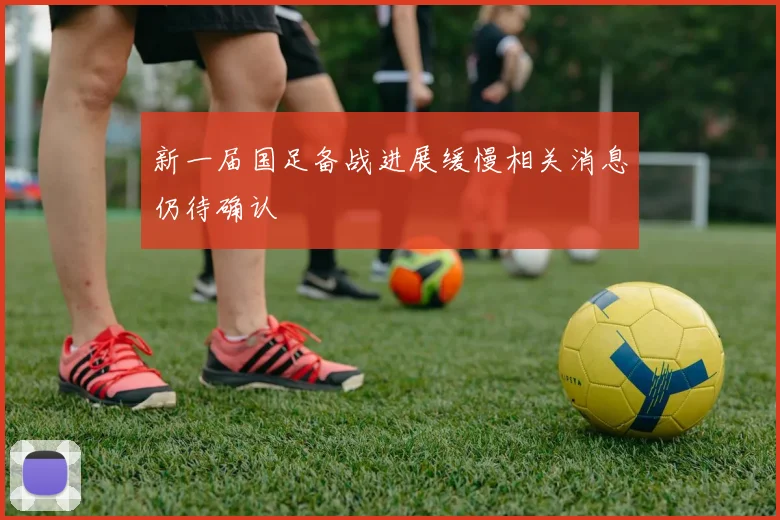 新一届国足备战进展缓慢相关消息仍待确认