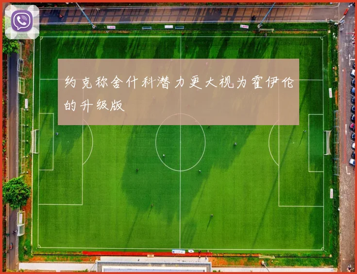 约克称舍什科潜力更大视为霍伊伦的升级版