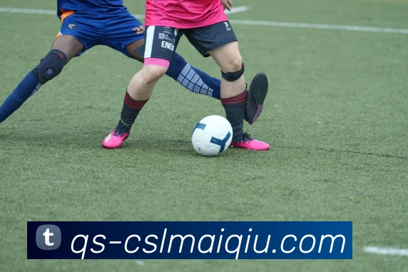 中超买球官网服务体系